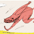 Miao